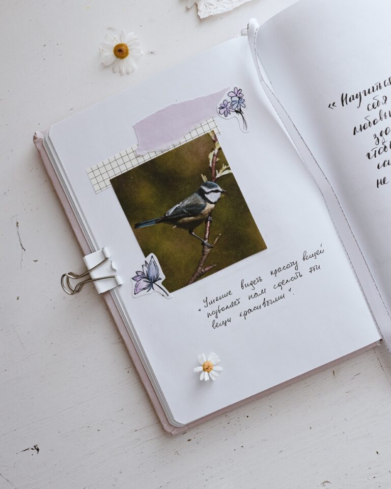 a simple journal with a photo of a bird on the open page and daisies all around