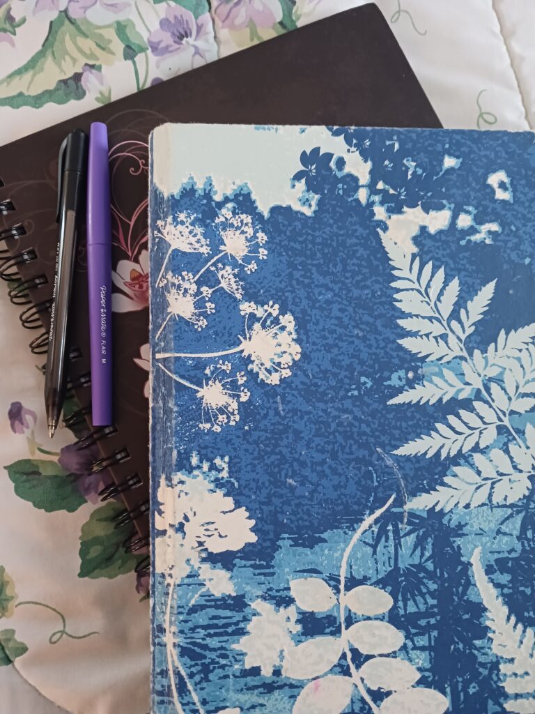 blue journal on top of a brown journal with cherry blossoms while we talk about what to use a journal for