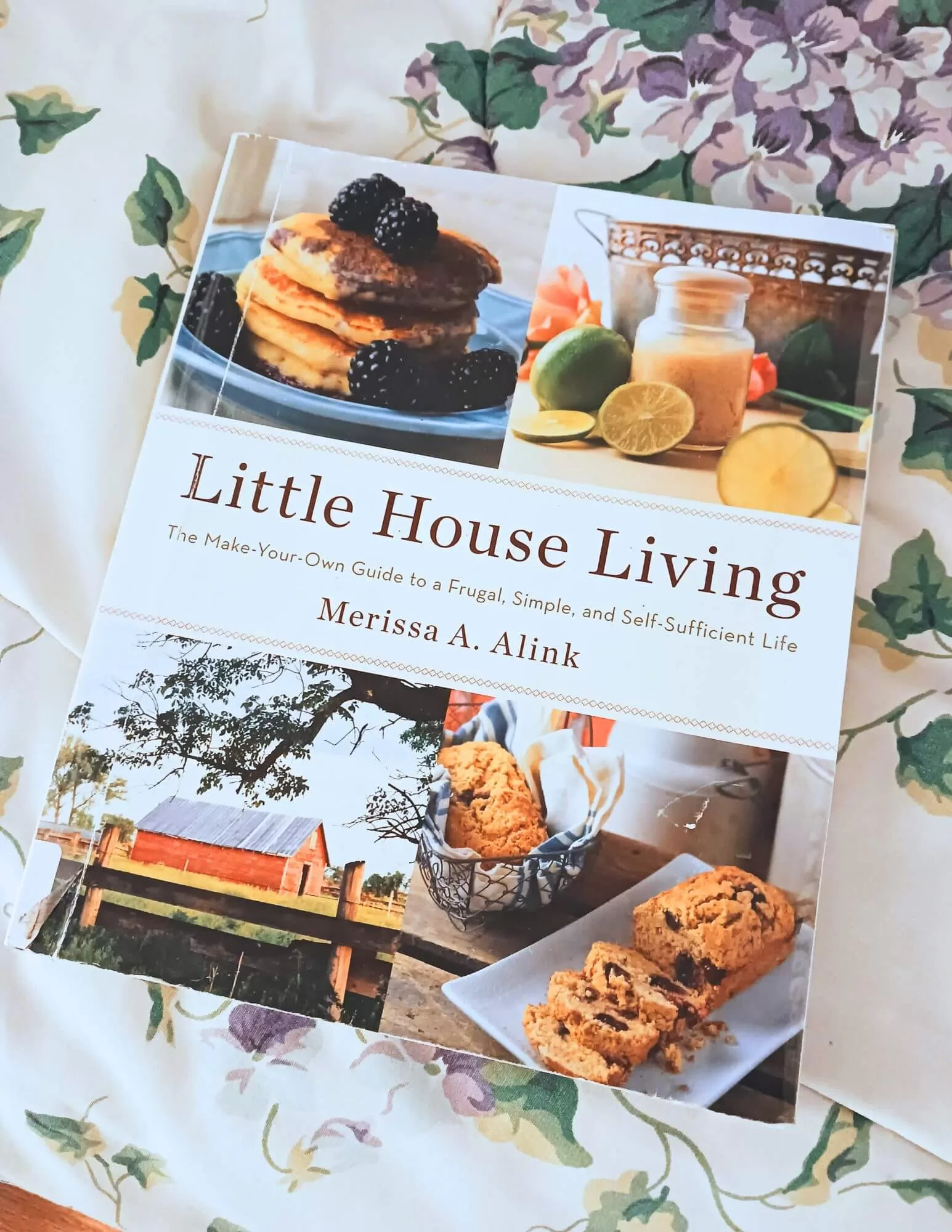 An Honest Review of Little House Living book